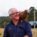 Tasmania March 2017 – Part 3, Chooks!