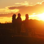 Walligans UK & Ireland Tour November 2017 – Part 1. London and Stroud.