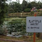 Tasmania March 2017 – Part 2