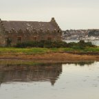 Walligans UK & Ireland Tour November 2017 – Part 5, Belfast and Cabra