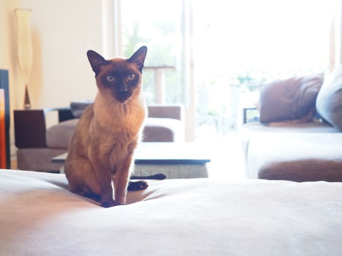 You guys still here?