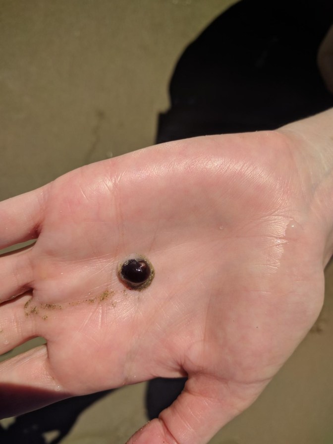 thumbnail_IMG_20180209_094651