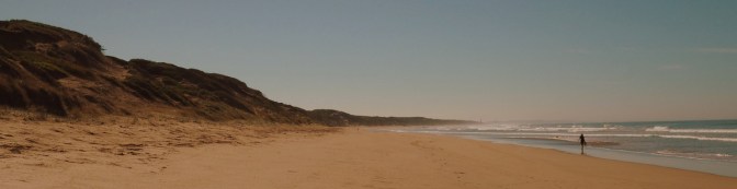 Ocean Grove "Not Dog" beach