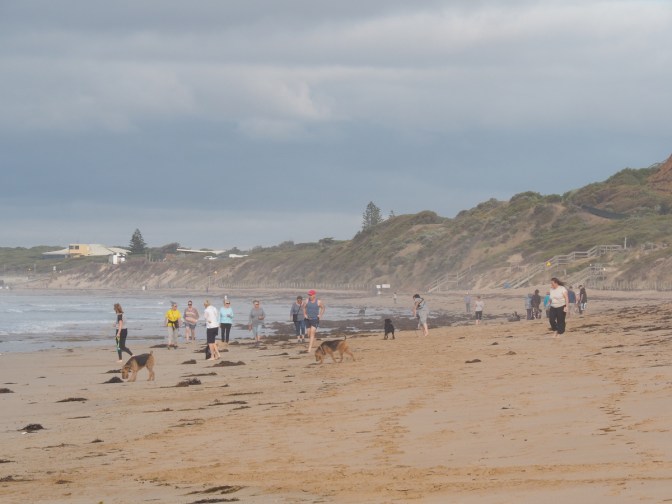 Ocean Grove Dog Beach