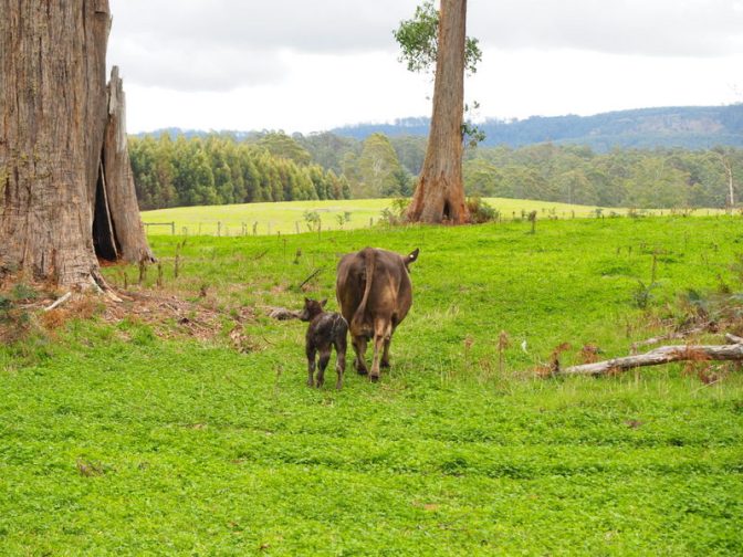 Number 40 and new baby