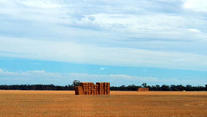 Straw Bales drying in the fields