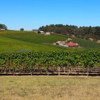 Vagabonding – Adelaide