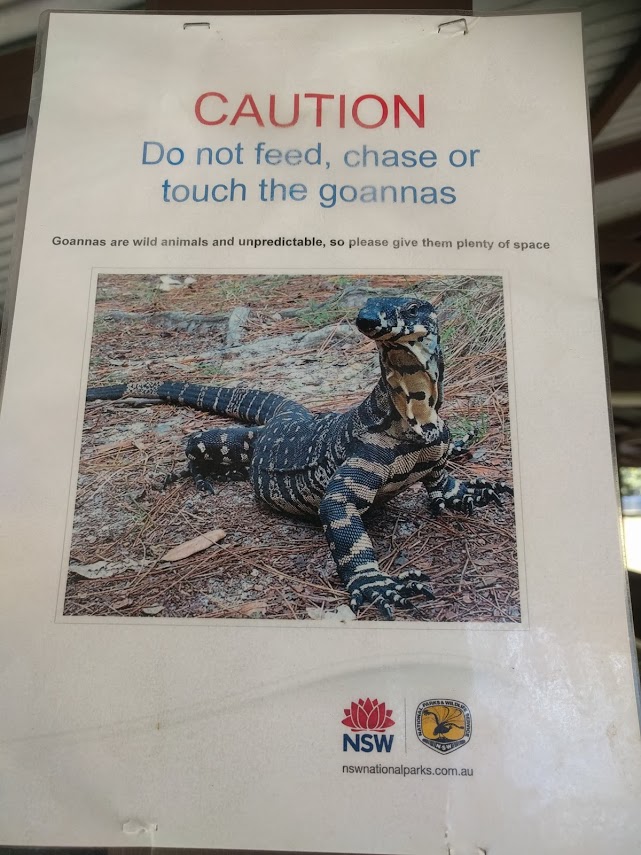 Dangerous Goanna Poster