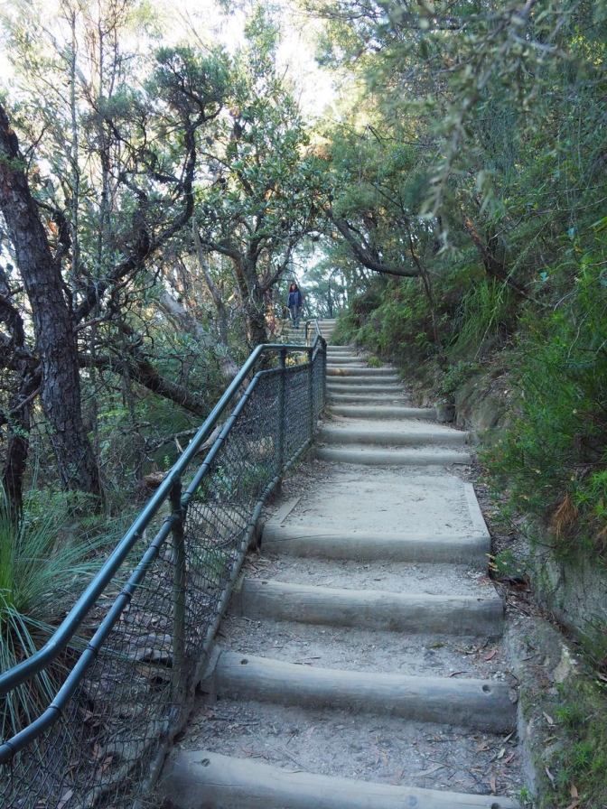 Path to Wentworth Falls