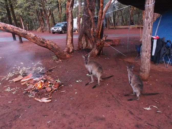 "That's not a fire!"