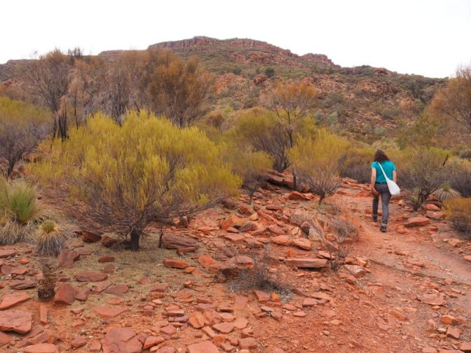 Mount Ohlssen-Bagge hike