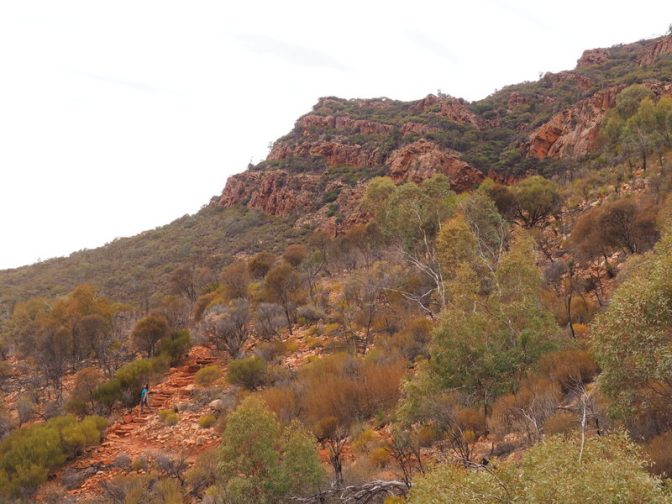 Now that's a convenient staircase 