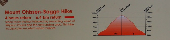 Mount Ohlssen-Bagge hike 