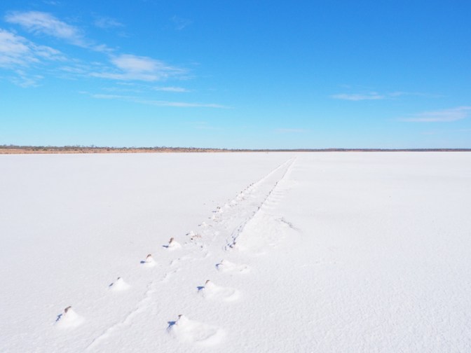 Signs of the old jetty