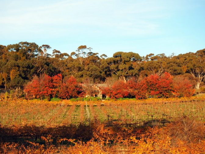 Our place in  Clare Valley