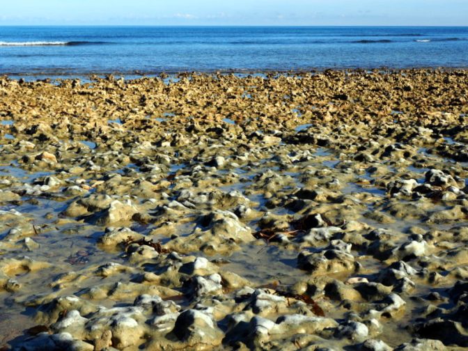 Port Noarlunga Beach