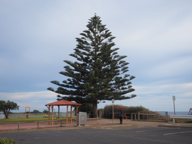 Port Noarlunga South