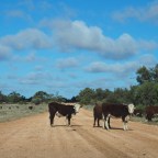 Port Noarlunga and Happy Valley