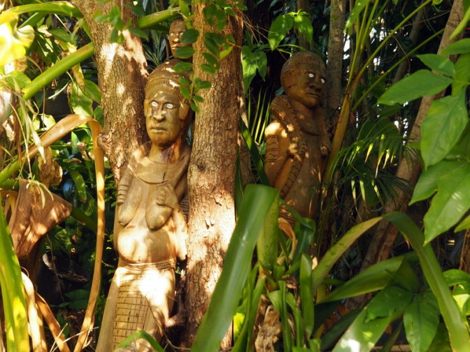 Silky Oak Tea Gardens