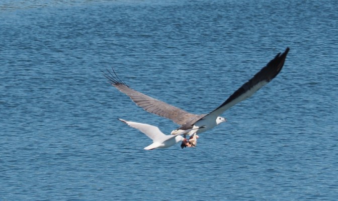 Holy crap, where did he come from?