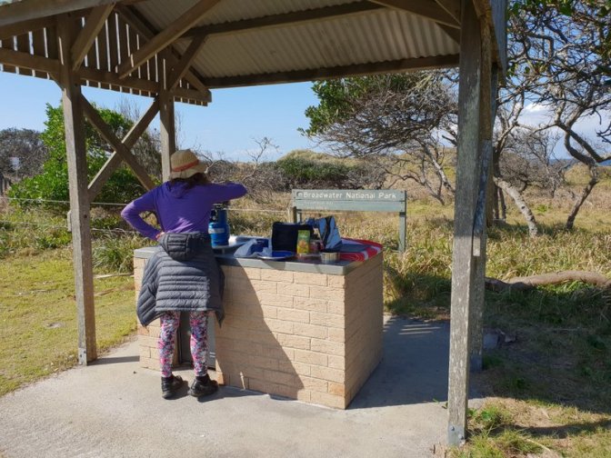 Broadwater Picnic Working Spot