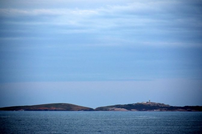 Montague Island