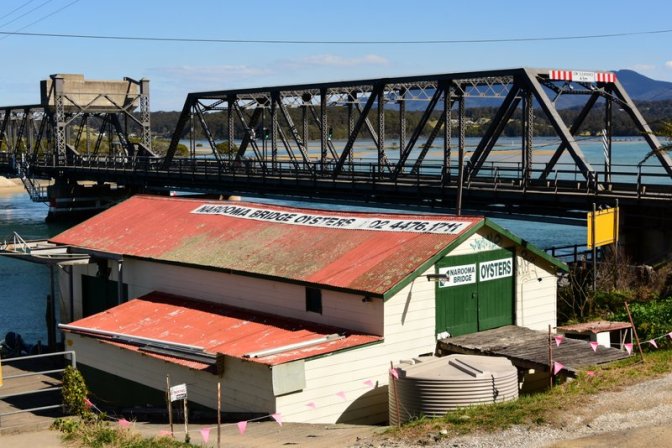 Narooma Bridge Oysters
