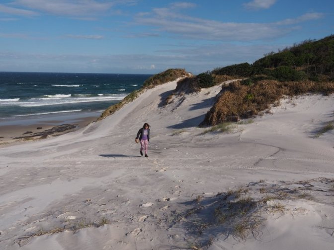 Broadwater Beach Sand Dunes