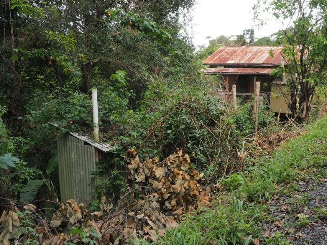 Abandoned Cabin in the forest