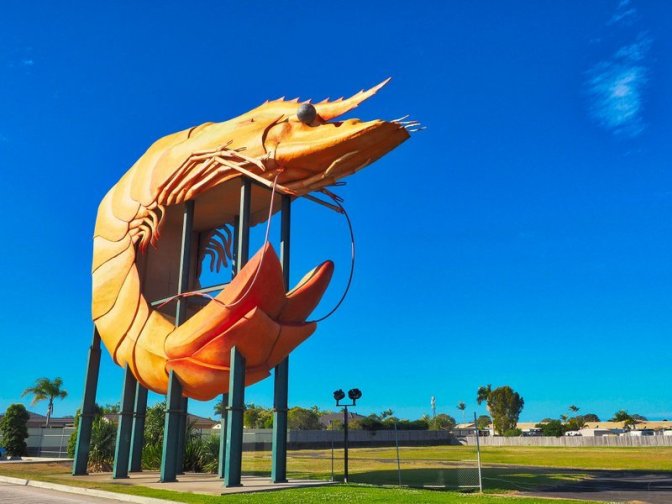 The Big Prawn, Ballina
