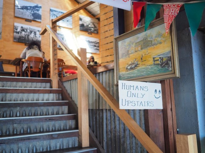 Only humans allowed upstairs, but we managed to sneak in