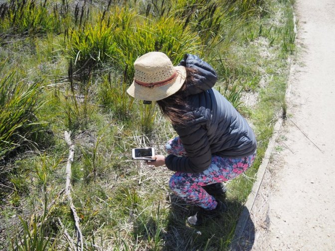 Jenni taking some flower pictures