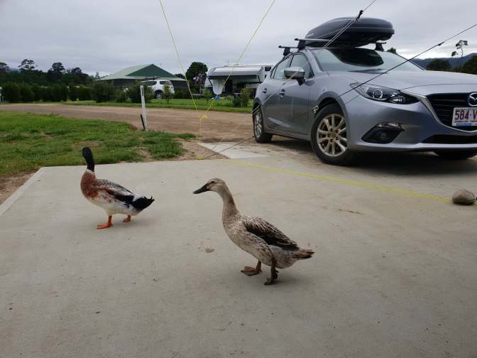 Hey guys, just checking you're ok!