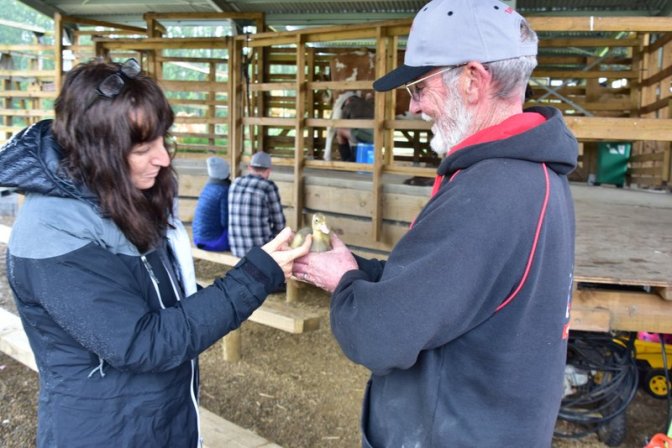 Gary with a week old duckling
