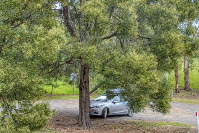The Second Most Beautiful Car Park