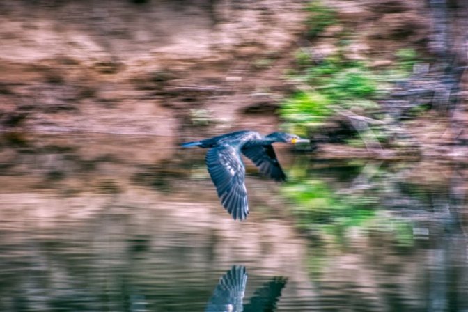 Warp factor 6 Scotty, Ay Captain.