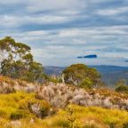 Burnie and Sheffield, Echidnas and Crackpots.
