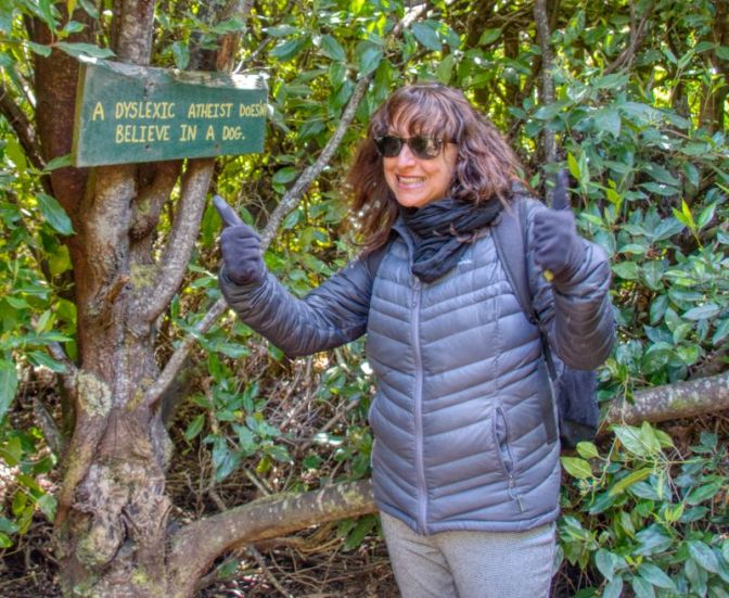 Can't beat a good Dad Joke