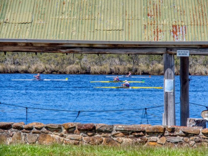 Rowing Race, Franklin