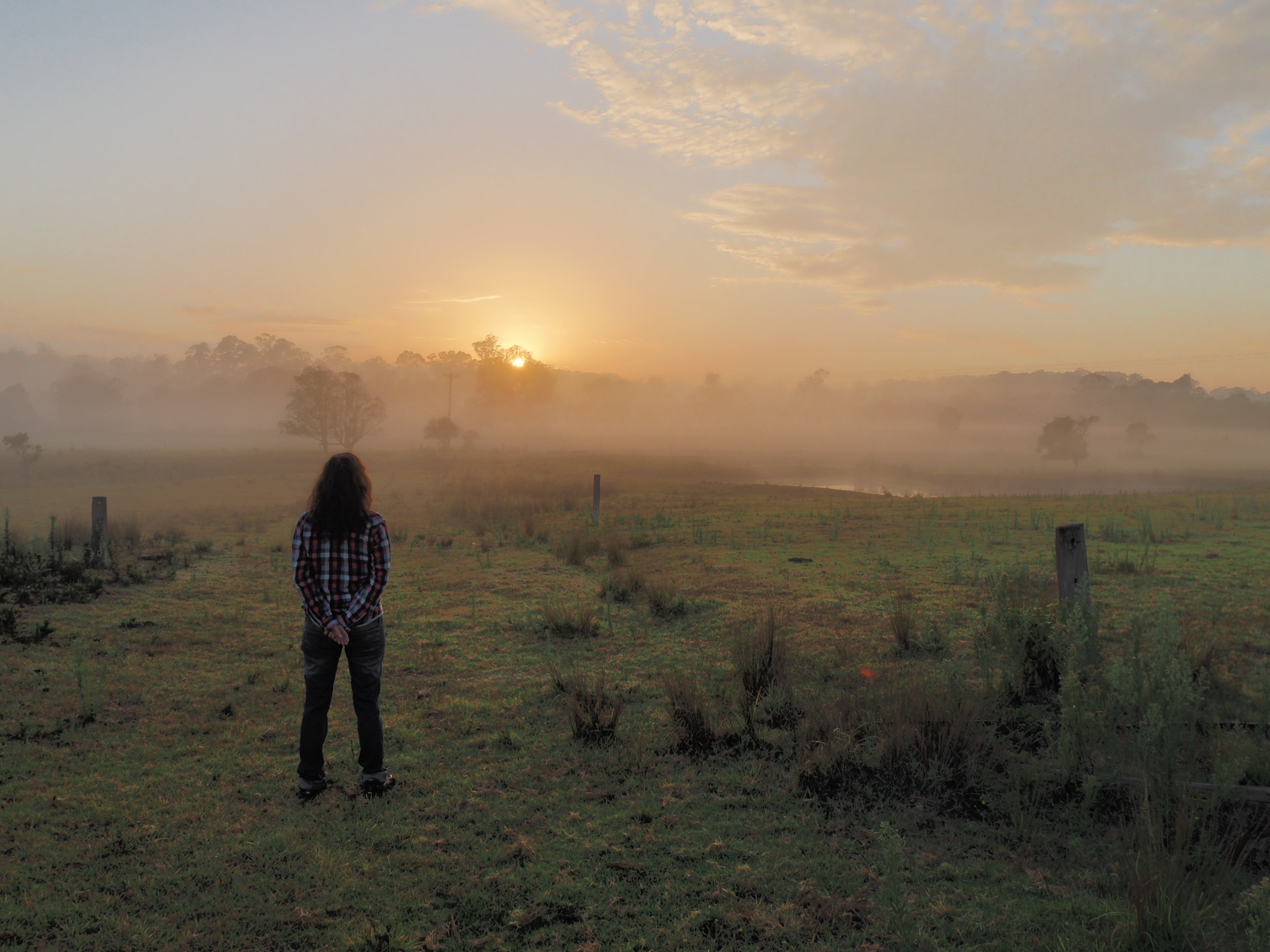 Linga Longa Farm, Wingham, New South Wales
