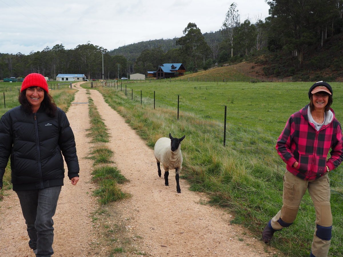 Mole Creek, Tasmania