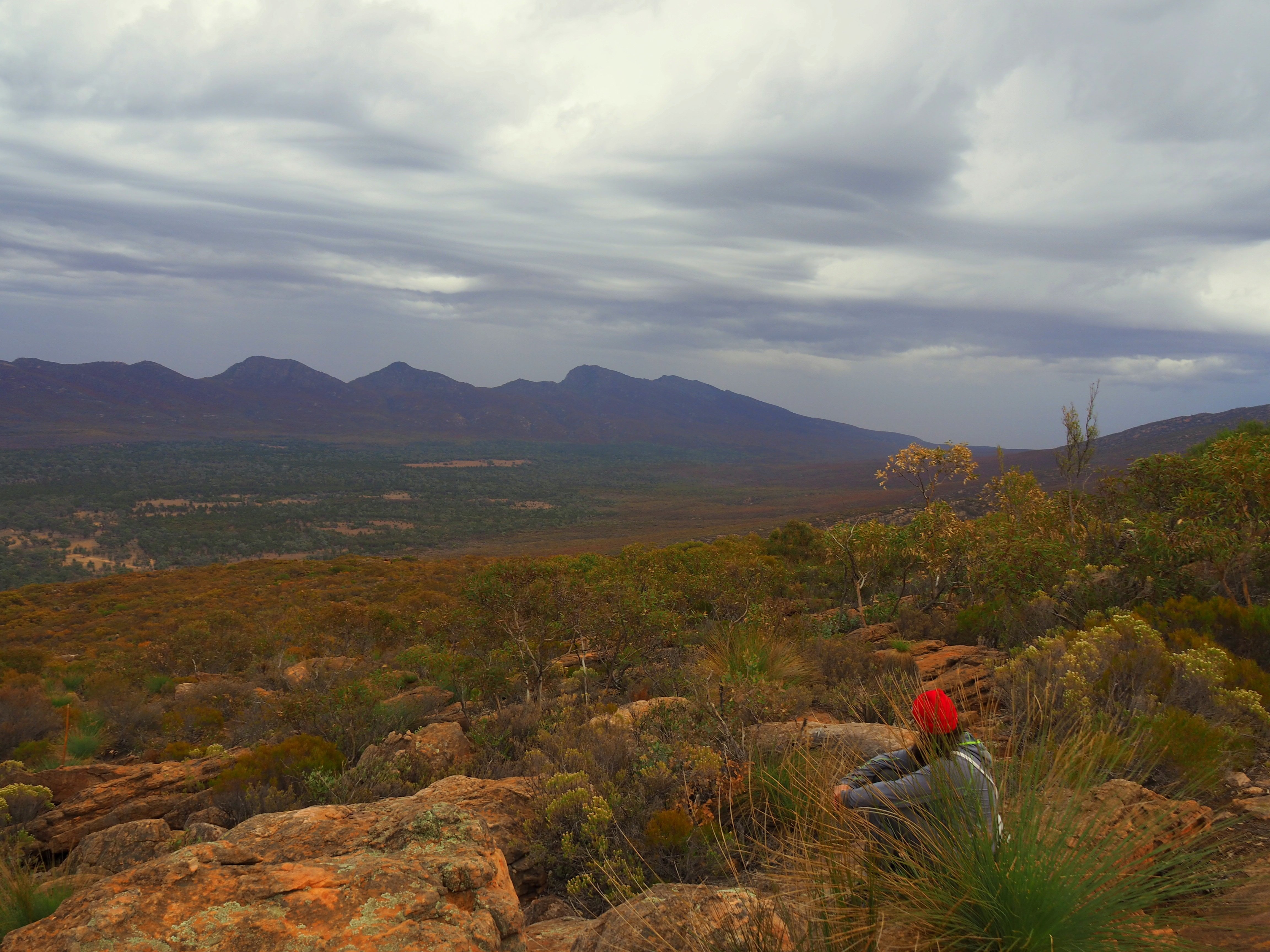 Wilpena Pound, South Australia