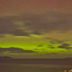 O’ mice and men…